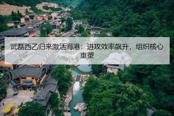 武磊西乙归来激活海港：进攻效率飙升，组织核心重塑